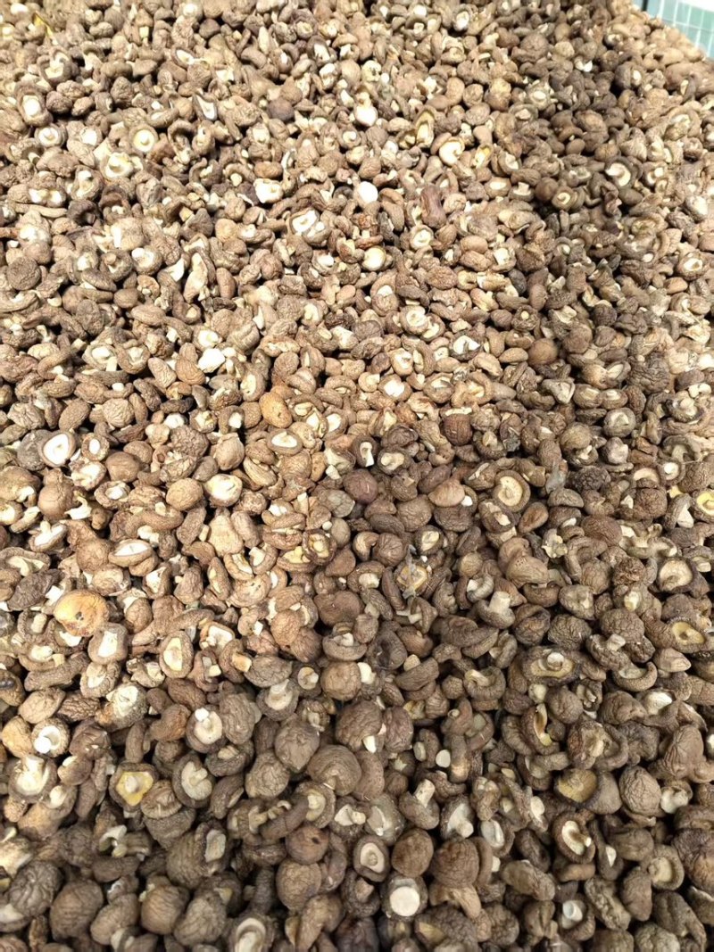 干香菇新鲜香菇烘干而成品质优良产地直供一手货源
