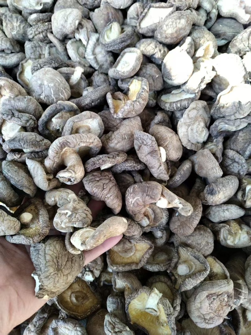 干香菇新鲜香菇烘干而成品质优良产地直供一手货源