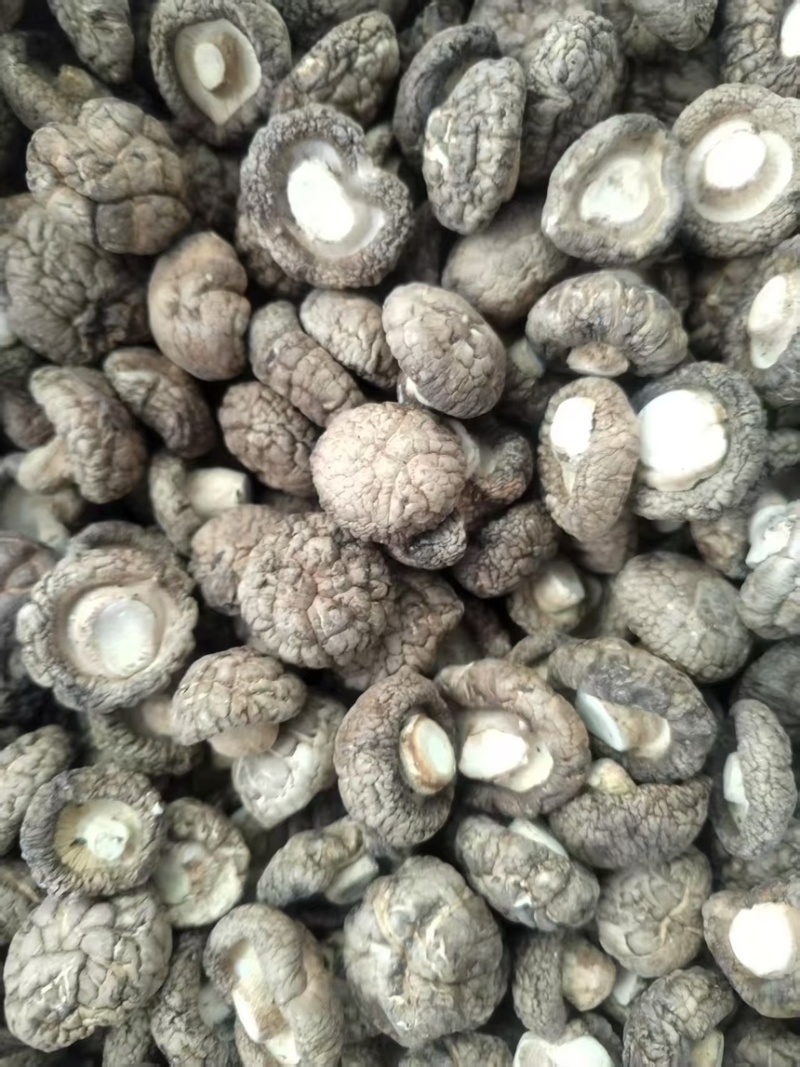 干香菇新鲜香菇烘干而成品质优良产地直供一手货源