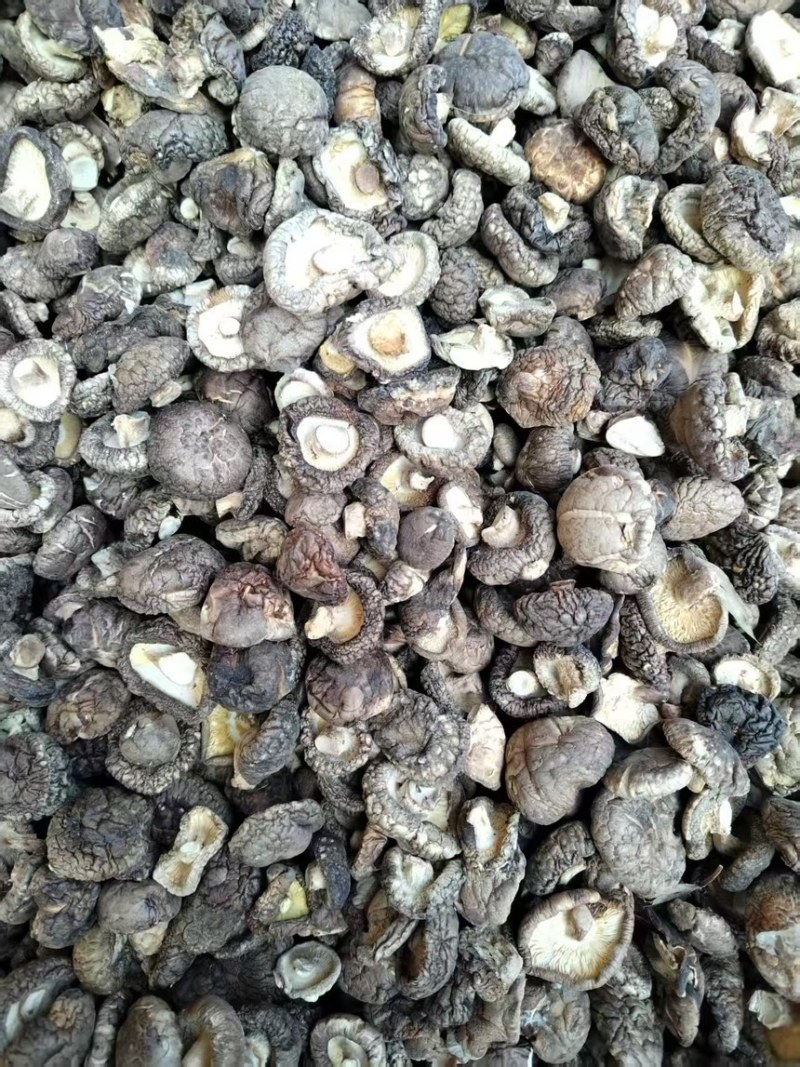 干香菇新鲜香菇烘干而成品质优良产地直供一手货源