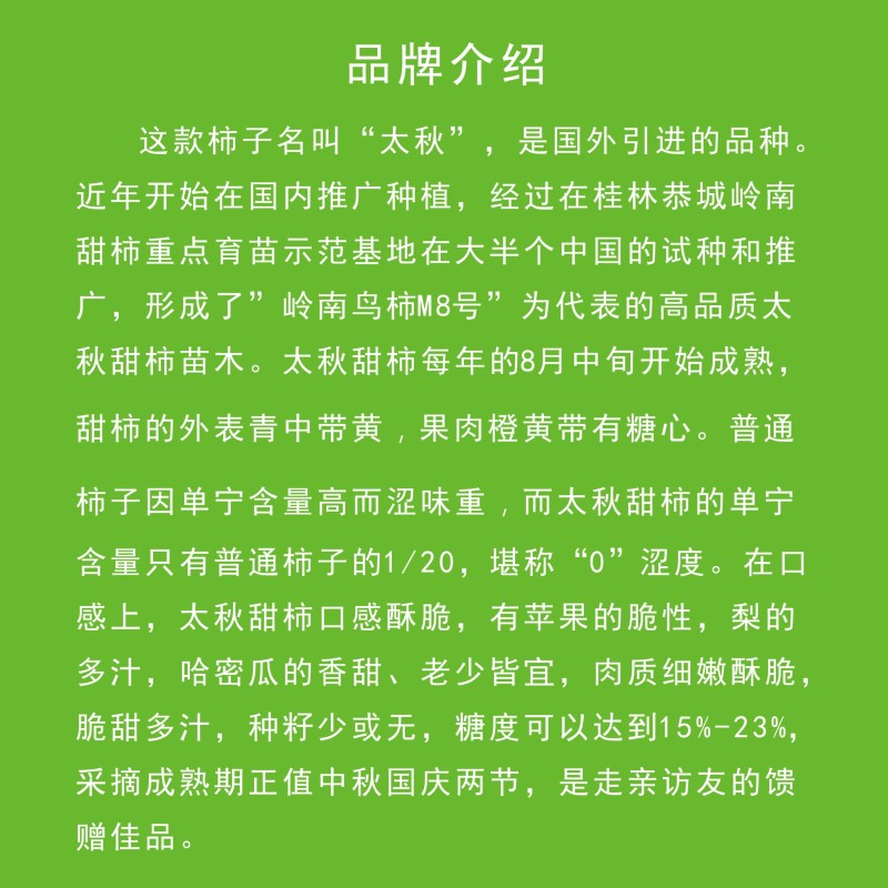 正宗太秋甜柿杯苗柿子杯苗柿子树地栽盆栽基地发货