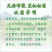 恭城月柿杯苗(大火晶，红灯笼)嫁接柿子苗可种植果树苗