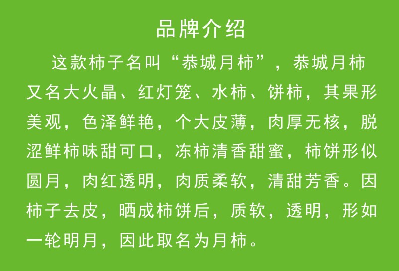 恭城月柿杯苗(大火晶，红灯笼)嫁接柿子苗可种植果树苗