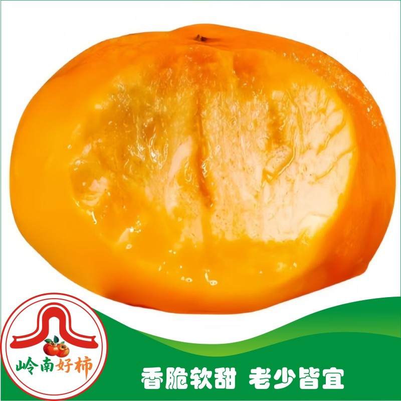 恭城月柿杯苗(大火晶，红灯笼)嫁接柿子苗可种植果树苗