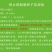 辉太郎甜柿杯苗家庭盆栽地栽基地直发正宗正版