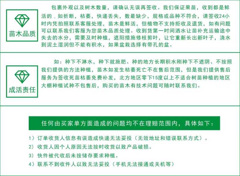 辉太郎甜柿杯苗家庭盆栽地栽基地直发正宗正版