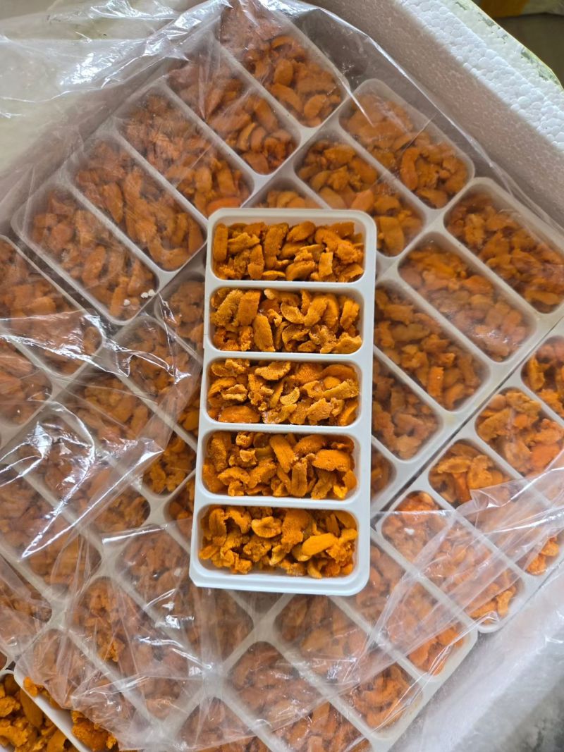 100克5孔马胆