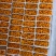 100克5孔马胆