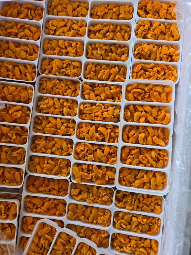 100克5孔马胆