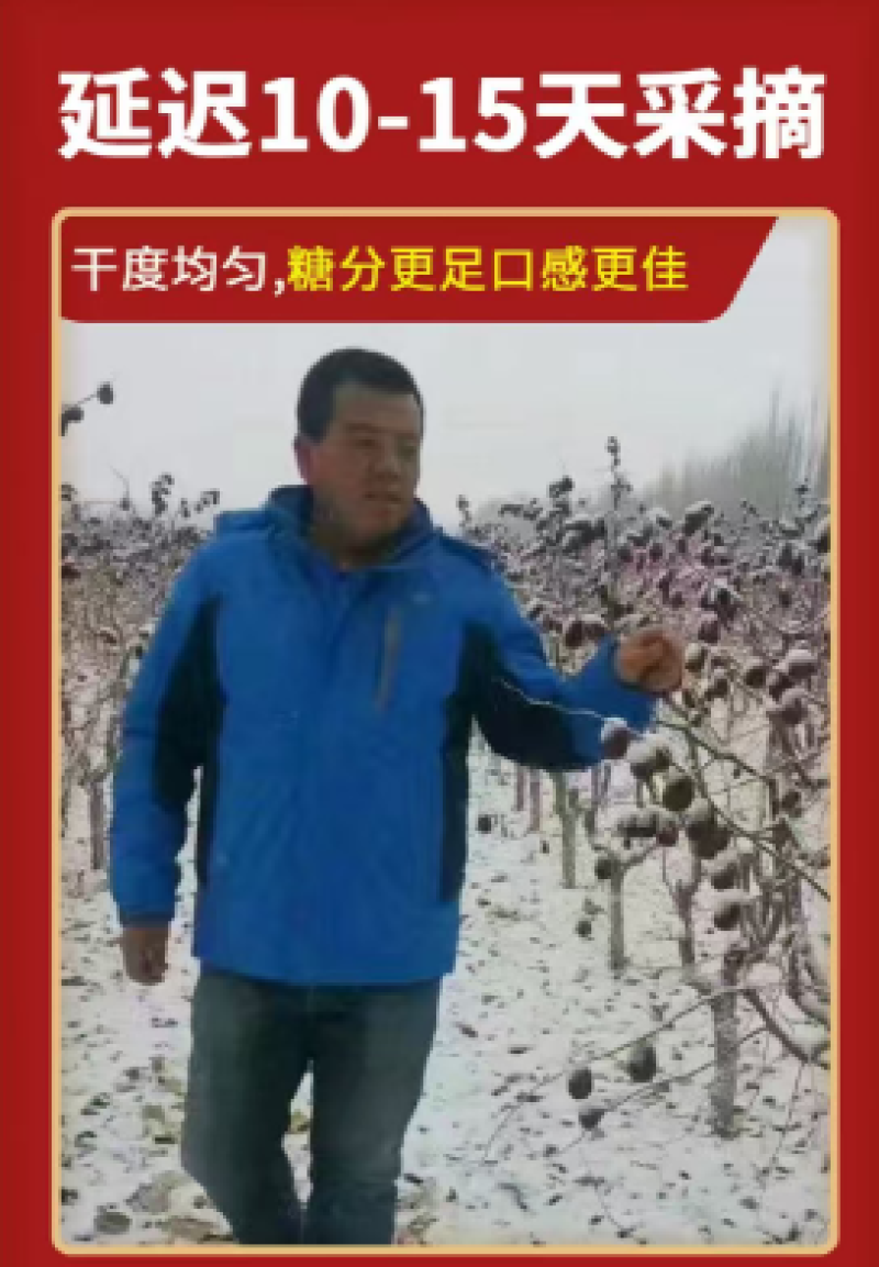 新疆若羌吊干灰枣不打蜡自然吊干好吃不贵