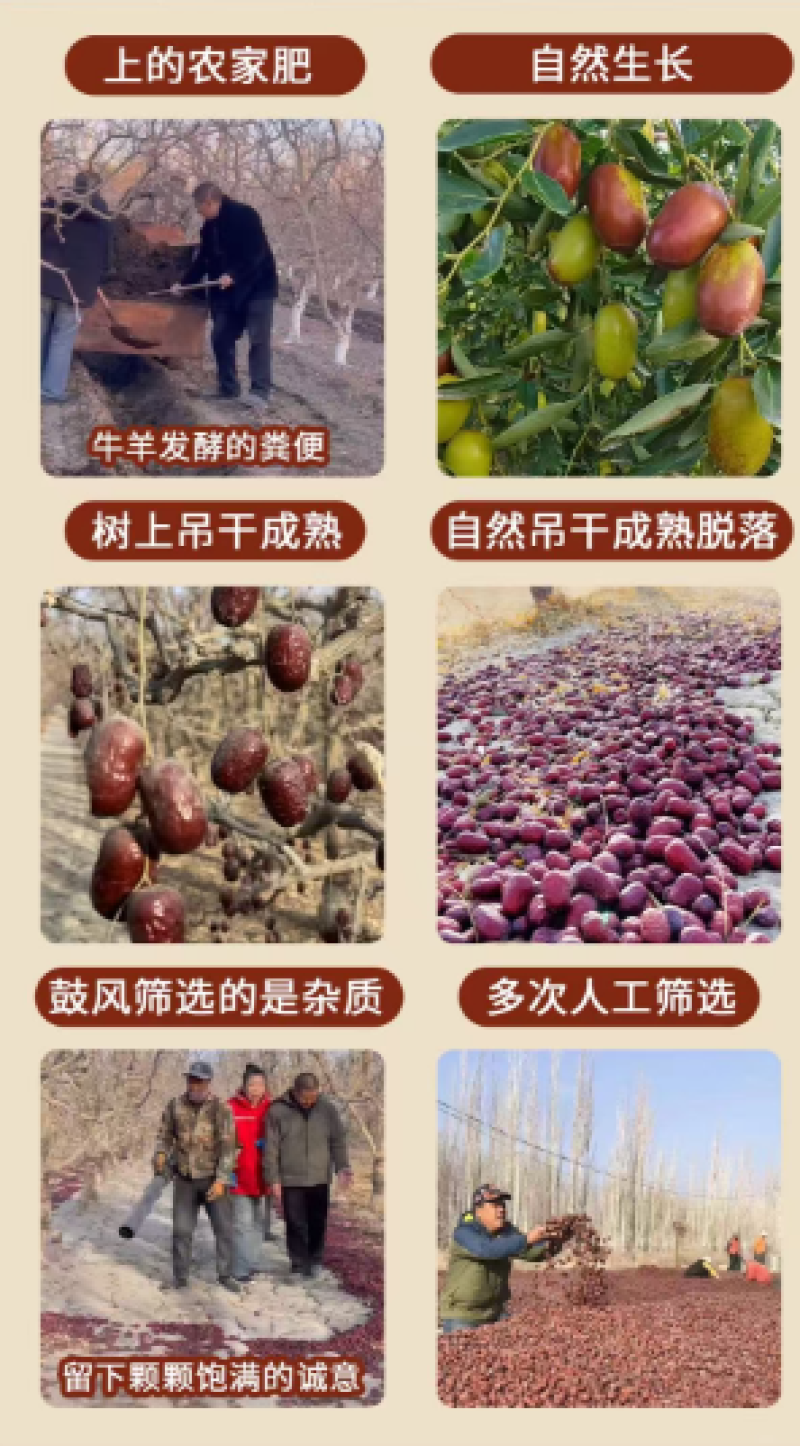 新疆若羌吊干灰枣不打蜡自然吊干好吃不贵