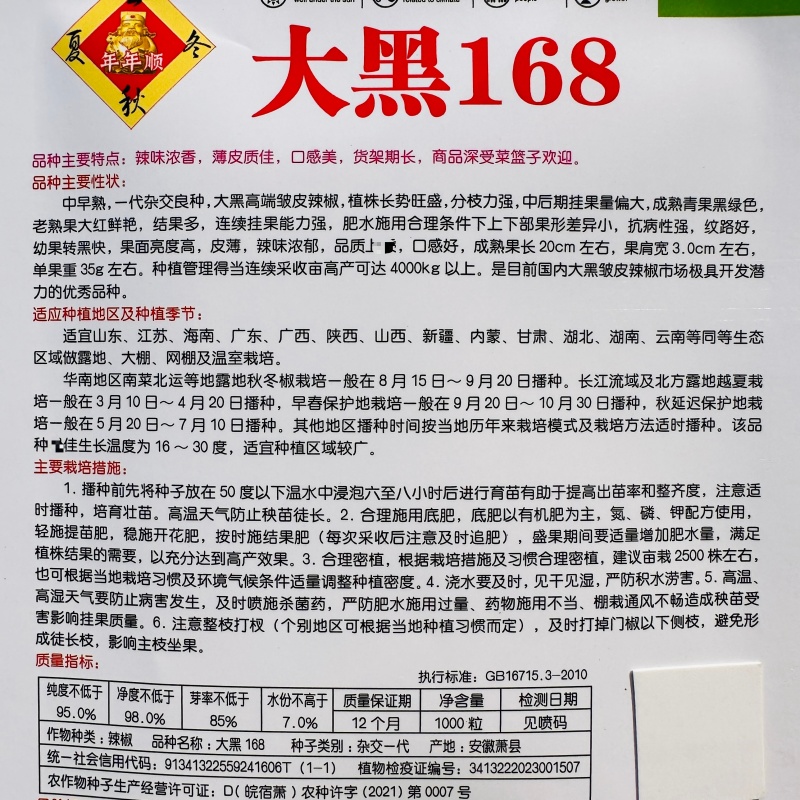 大黑168皱皮椒种子香辣大果皱皮椒种籽高产抗病薄皮特辣
