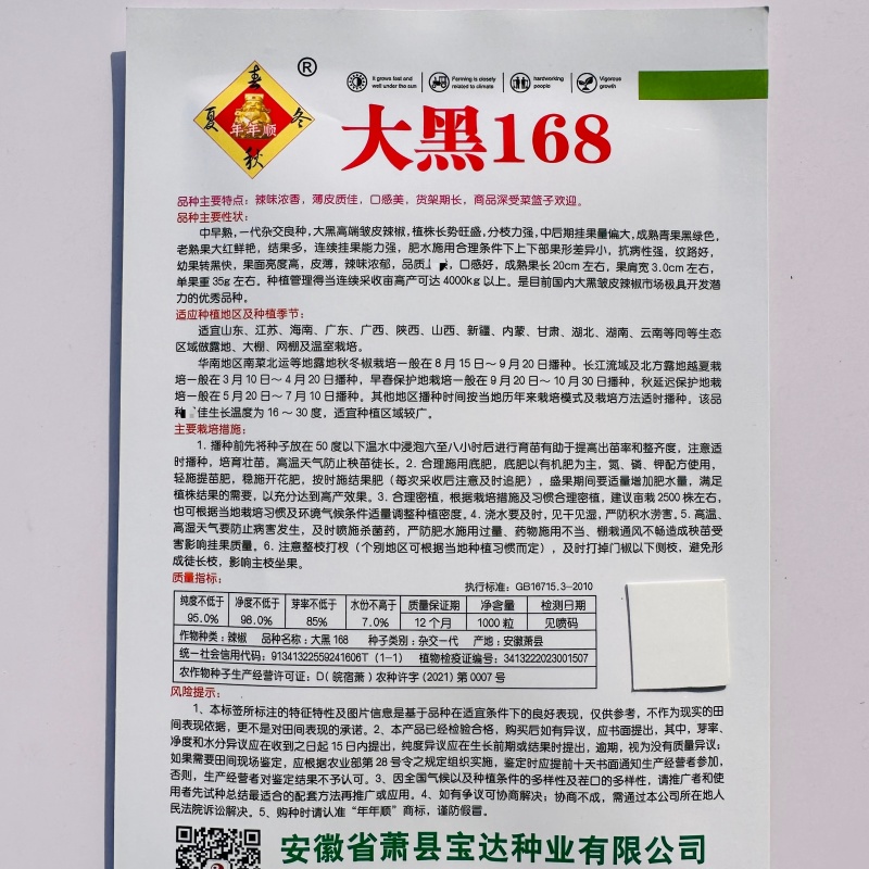 大黑168皱皮椒种子香辣大果皱皮椒种籽高产抗病薄皮特辣