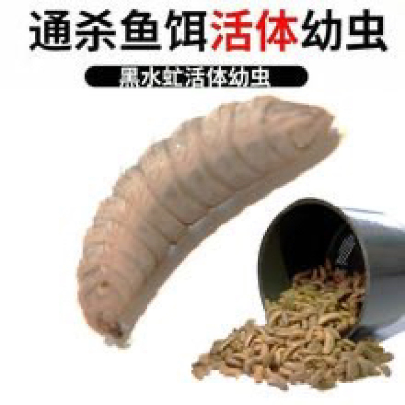 黑水忙