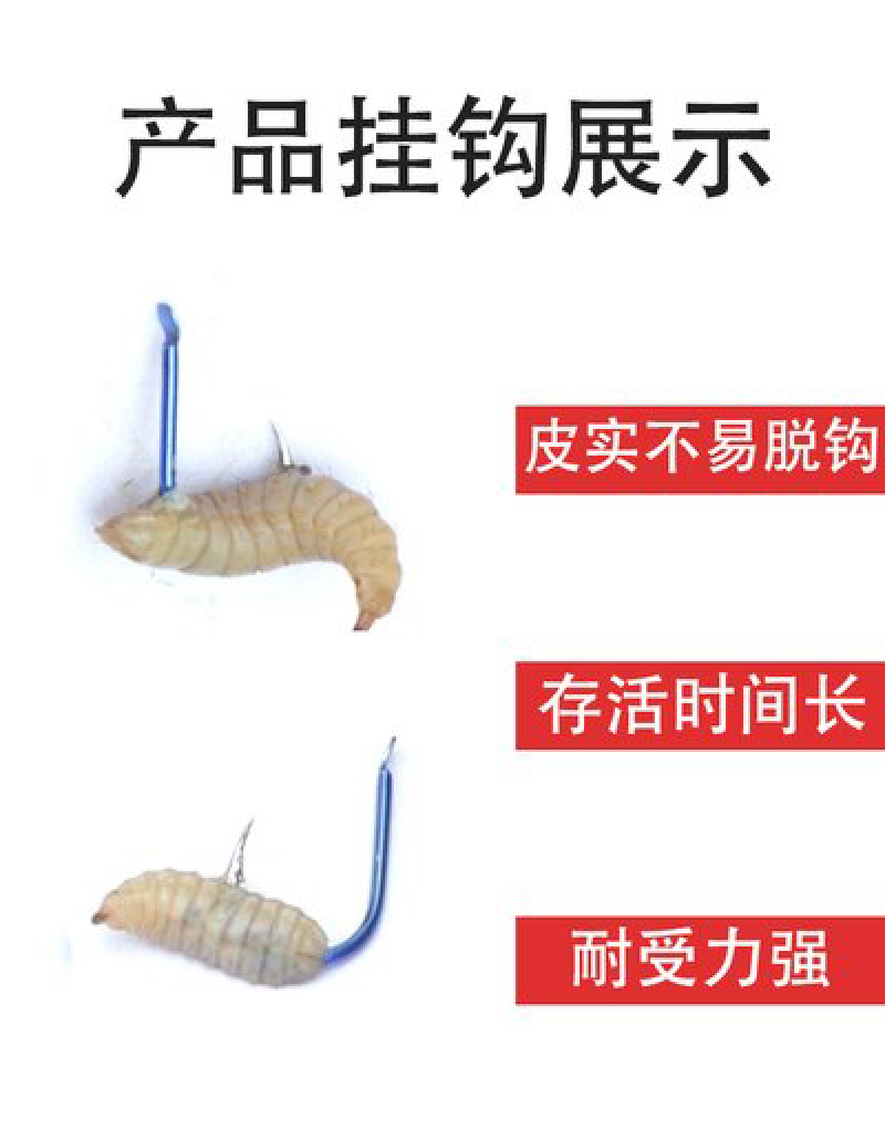 黑水忙
