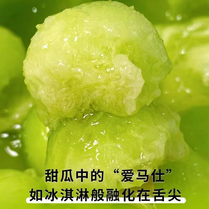 浙江台州玉菇甜瓜/冰淇淋甜瓜/2026年头茬甜瓜