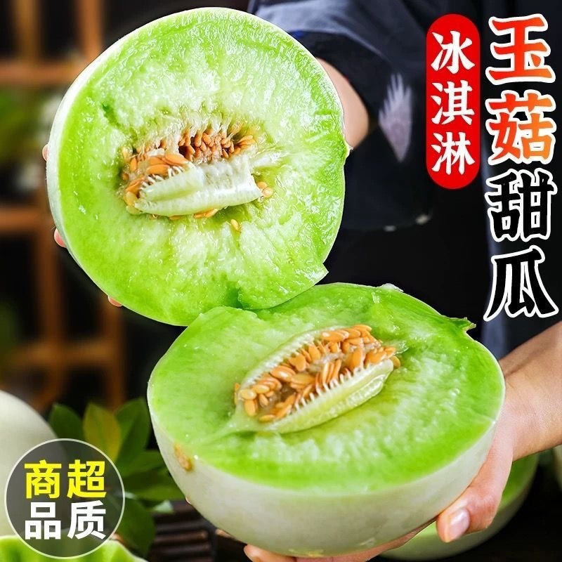浙江台州玉菇甜瓜/冰淇淋甜瓜/2026年头茬甜瓜