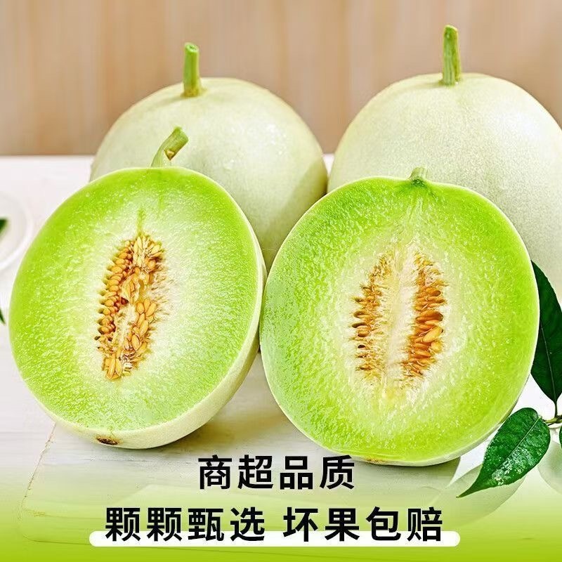 浙江台州玉菇甜瓜/冰淇淋甜瓜/2026年头茬甜瓜