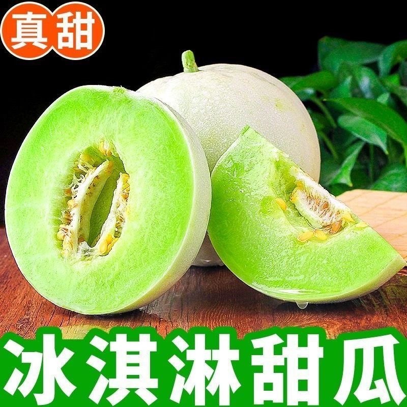 浙江台州玉菇甜瓜/冰淇淋甜瓜/2026年头茬甜瓜