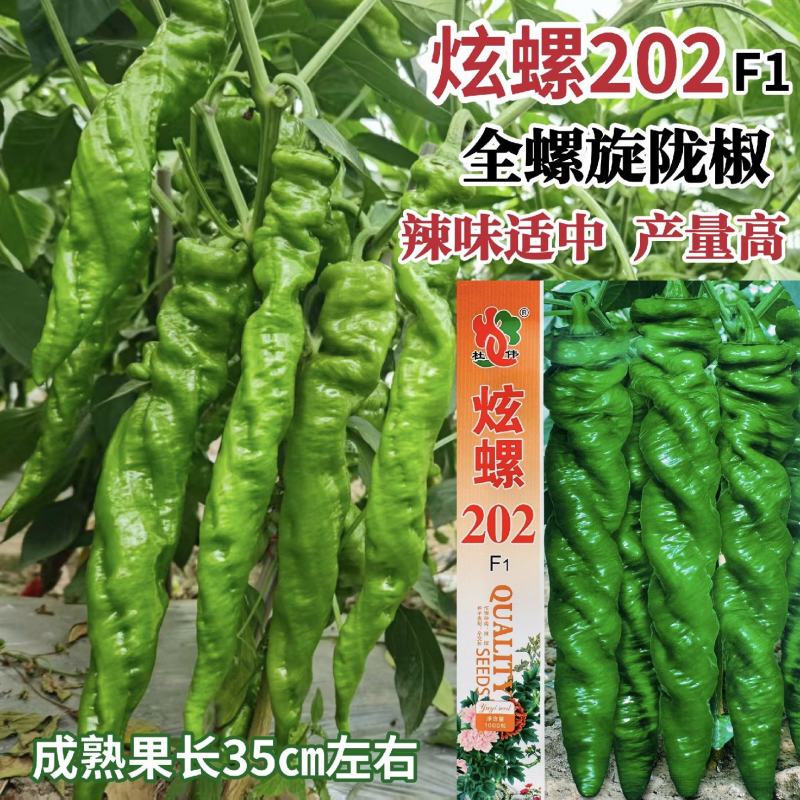 炫螺202全螺旋陇椒种子一代杂交螺丝椒种子辣味适中产量高