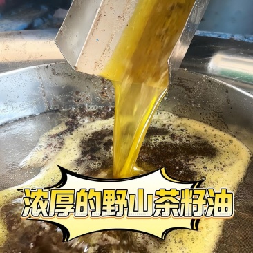 山茶油山茶籽油自己作坊***任何防腐剂欢迎来电采