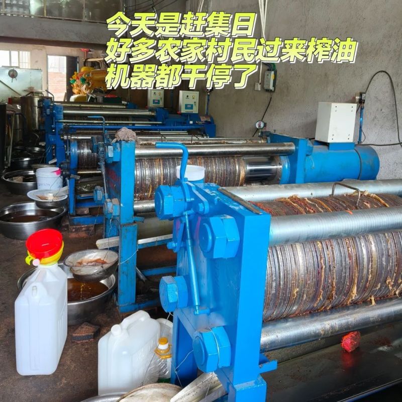 山茶油山茶籽油自己作坊***任何防腐剂欢迎来电采
