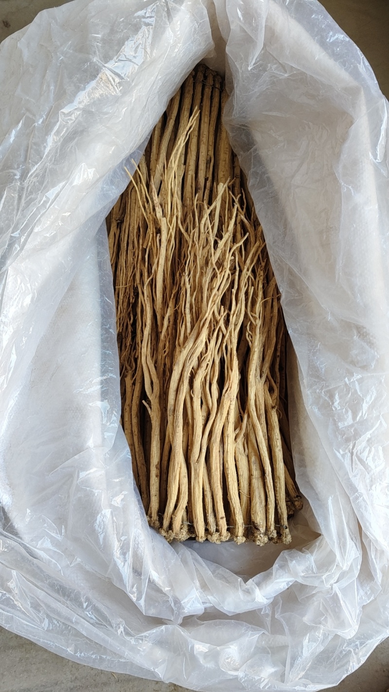甘肃特产白条党参