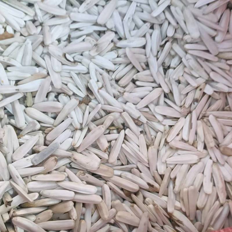 新疆墨玉生瓜子白牙葵花籽产地直发量大价优欢迎随时联系
