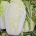平度特色精品大白菜3456