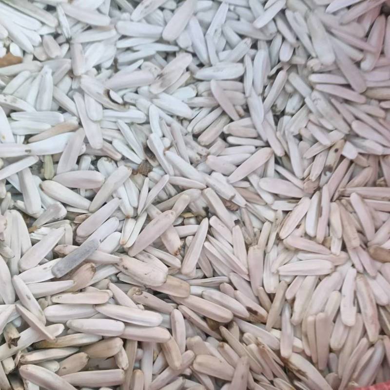 新疆墨玉生瓜子白牙葵花籽产地直发量大价优欢迎随时联系