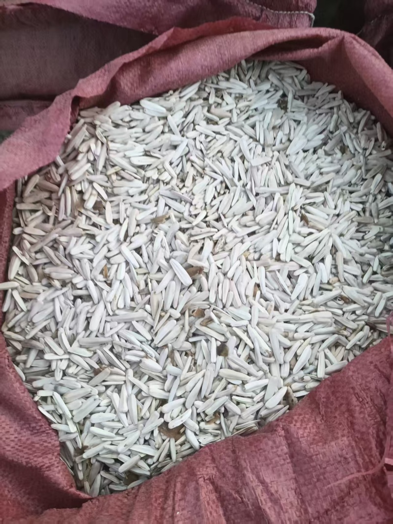 新疆墨玉生瓜子白牙葵花籽产地直发量大价优欢迎随时联系