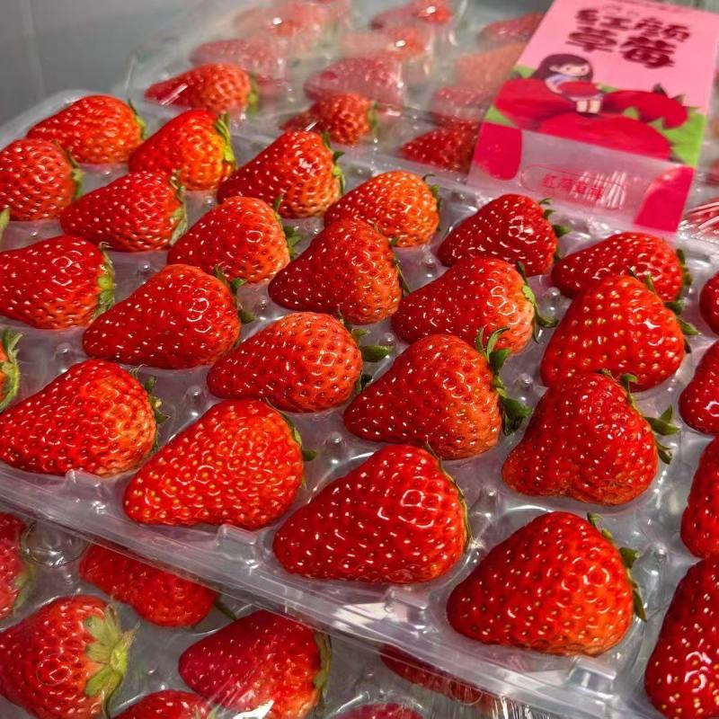 丹东草莓，产地直发电商供货，一件代发，量大从优