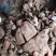 何首乌产地直发价格优惠品质上乘欢迎来电洽谈合作