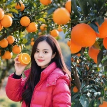 精选湖北秭归圆红口感纯甜化渣产地直发一手货源