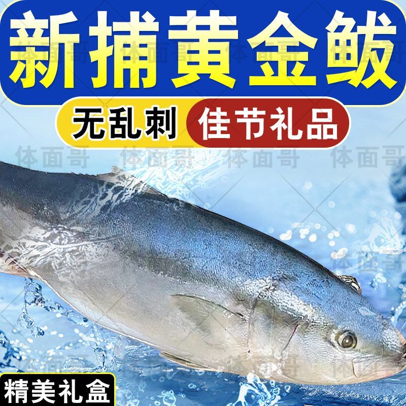 黄金大鲅鱼！专业一件代发！对接各大电商平台！