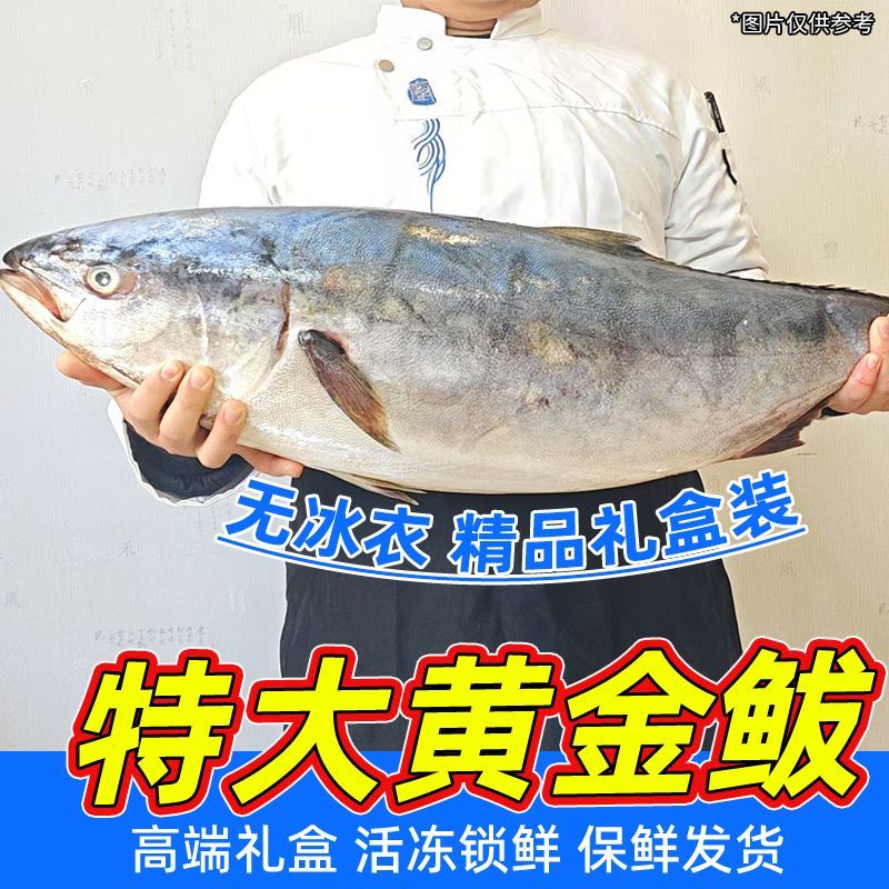 黄金大鲅鱼！专业一件代发！对接各大电商平台！