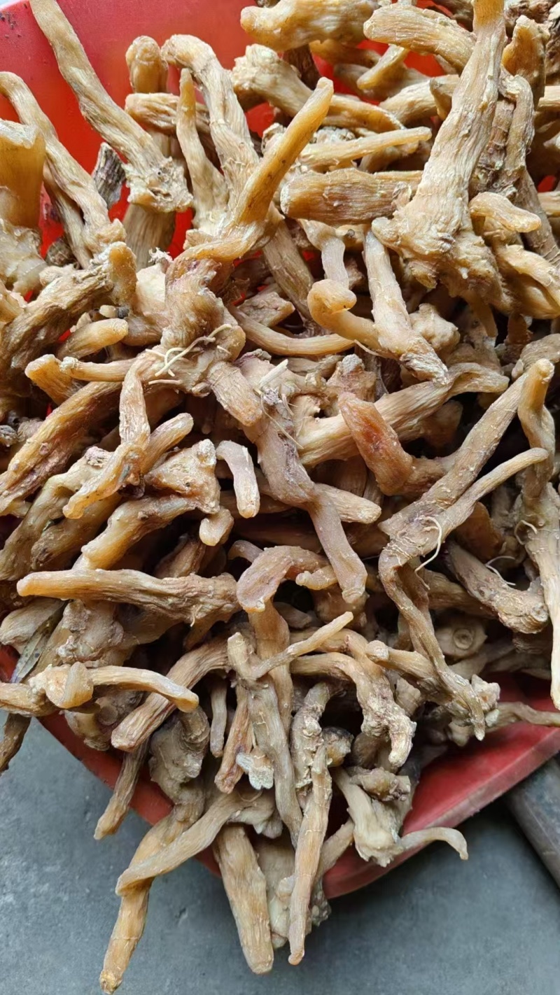 黄精