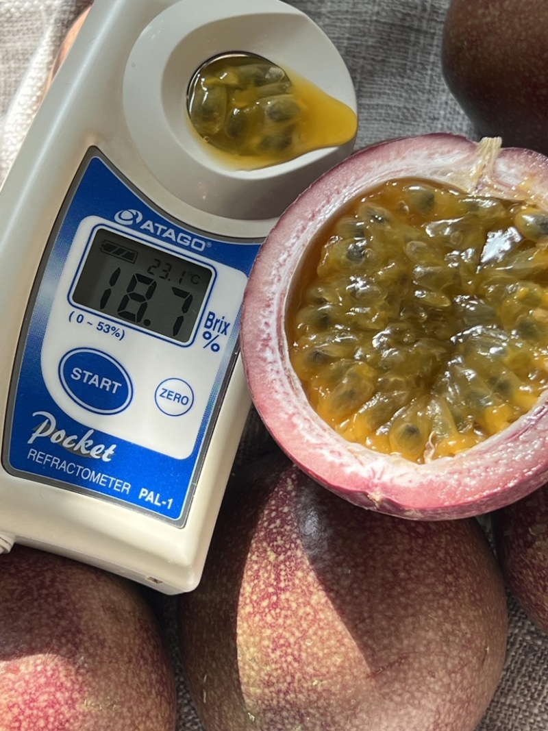 云南基地直供蜜桃百香果货足60克以上可以整车走货
