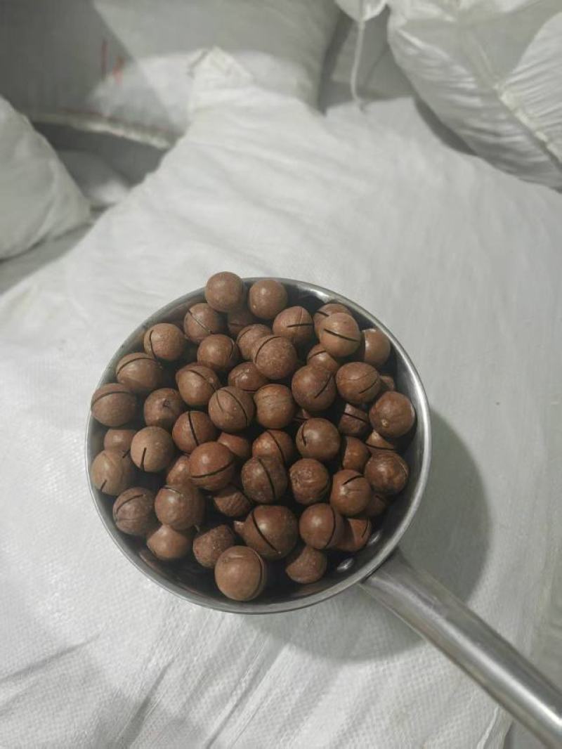 夏威夷果电商货量大供应