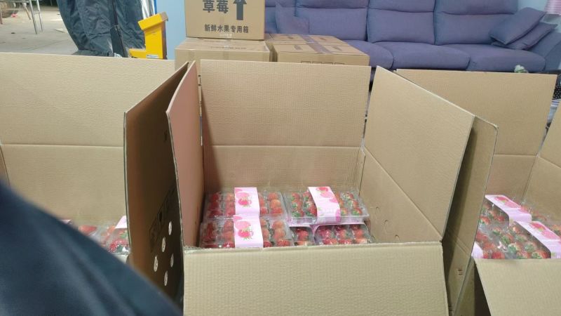 安徽泗县红颜草莓上市了提供各种包装