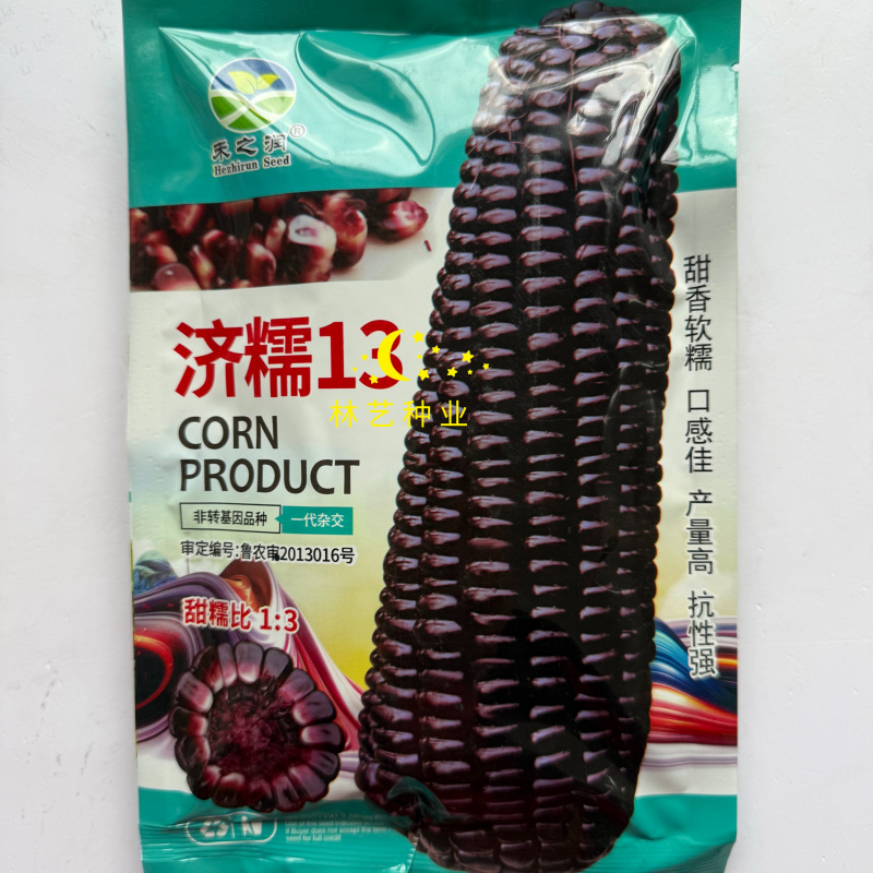 禾之润济糯13玉米种子黑甜糯玉米种籽甜糯米种孑超黏玉米