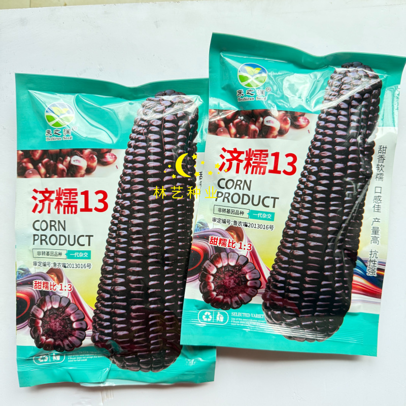 禾之润济糯13玉米种子黑甜糯玉米种籽甜糯米种孑超黏玉米