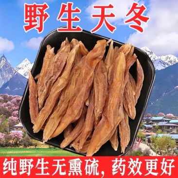 四川藏区高海拔野生天冬高含量只做正品野生山货