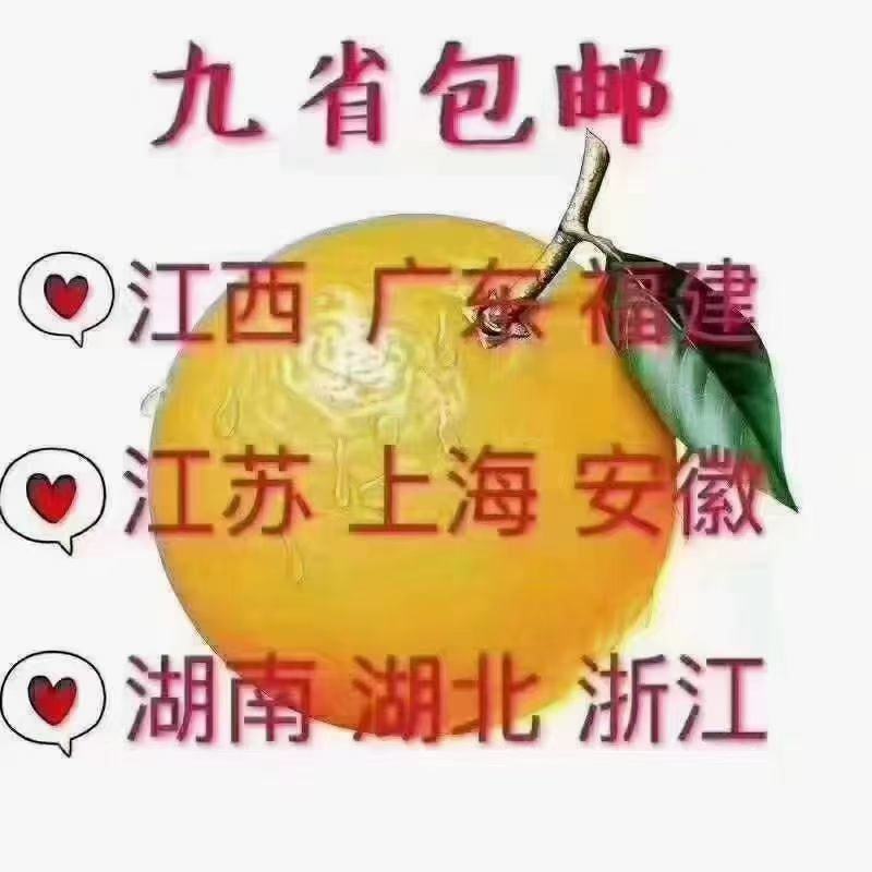 赣南脐橙