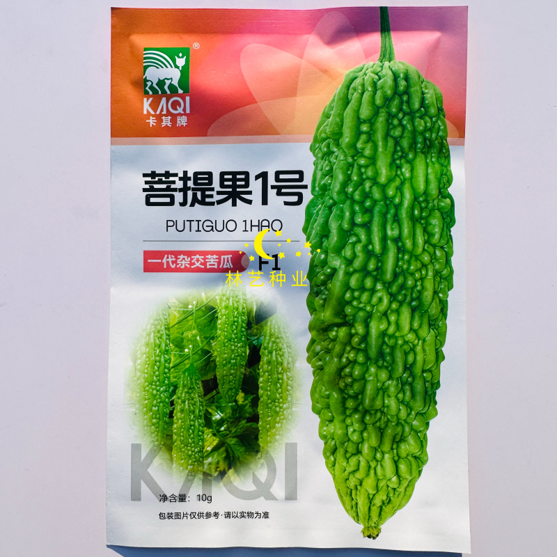 菩提果1号苦瓜种子亮绿色中早熟肉质脆嫩苦味适中