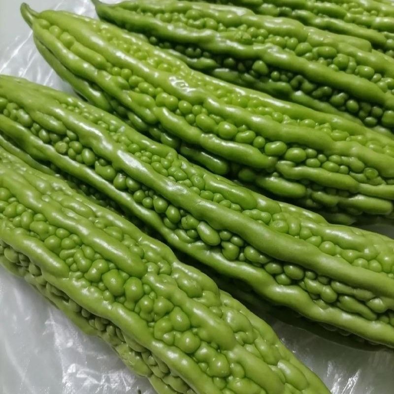 菩提果2号苦瓜种子疙瘩长绿苦瓜种籽南北方春秋两季播苦瓜种