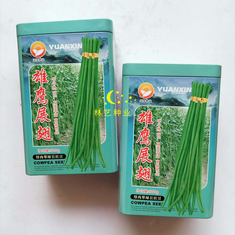 雄鹰展翅豇豆种子中早熟厚肉翠绿长豇豆种籽高产抗病基地专用