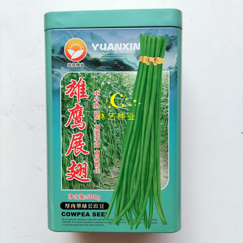 雄鹰展翅豇豆种子中早熟厚肉翠绿长豇豆种籽高产抗病基地专用