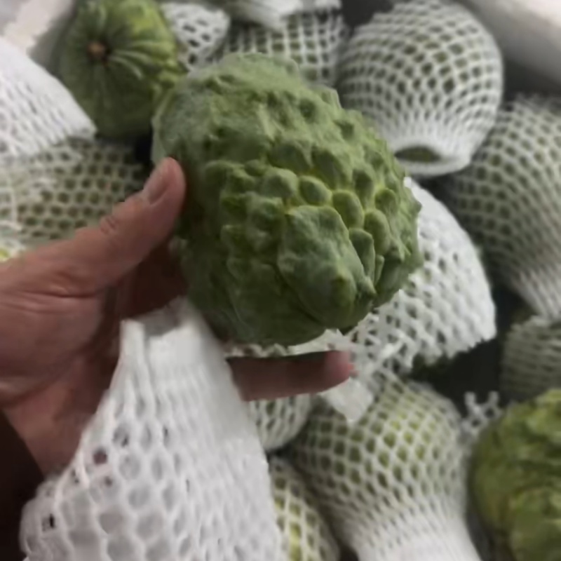 自家果园种植凤梨释迦，需要的可以联系