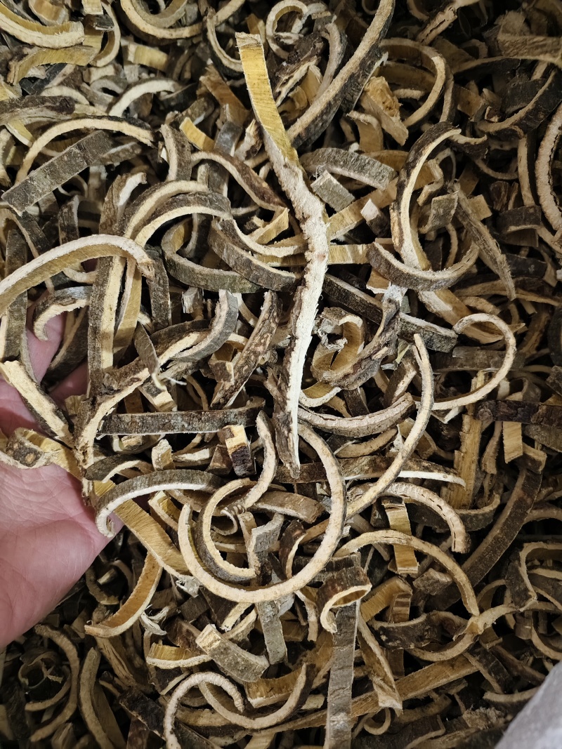 合欢皮正品合欢皮厚皮批发零售量大优惠